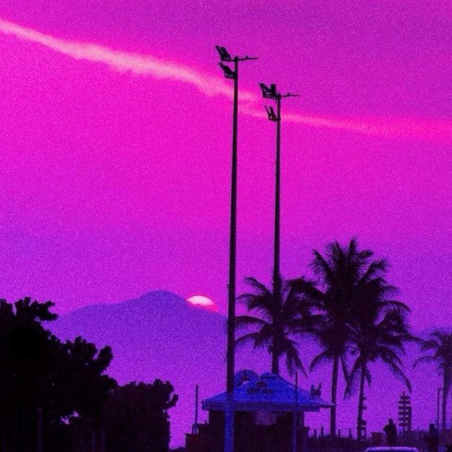 Purple Haze